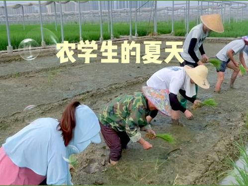 带你吃大瓜奇葩作业,带你领略“大瓜”作业背后的奇葩故事