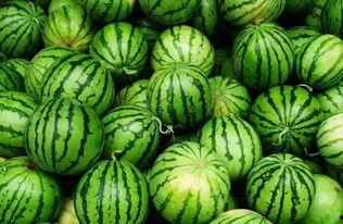 吃瓜看收藏,揭秘娱乐圈背后的收藏秘密