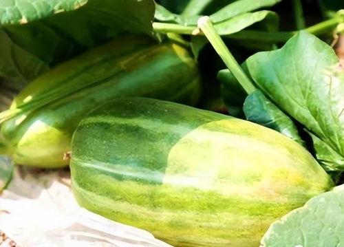 吃瓜网01,带你走进网络八卦的神秘世界