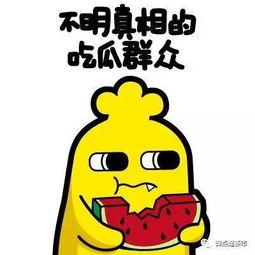 吃瓜茶楼,揭秘娱乐圈背后的故事与真相