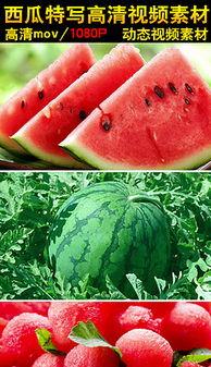 吃瓜切瓜的视频大全图片,吃瓜切瓜视频大全，一网打尽瓜界潮流