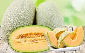 吃蜜瓜喉咙发痒,揭秘夏日消暑美食的隐患