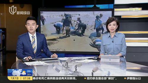 傅钦吃瓜系统剧情,揭秘娱乐圈背后的风云变幻