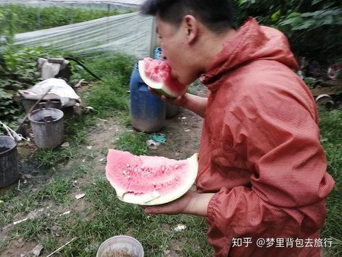 摆地摊吃瓜图片,吃瓜群众共享市井烟火气