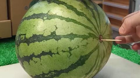 吃瓜最新事件 山东,揭秘背后真相与争议