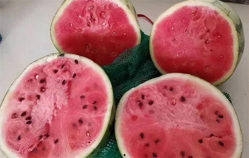 吃麒麟瓜解压,解压美食，轻松一夏