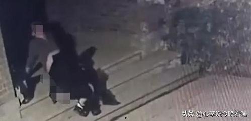 继续吃瓜完整视频,一场引人入胜的完整视频大揭秘