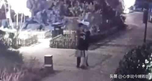 继续吃瓜完整视频,一场引人入胜的完整视频大揭秘