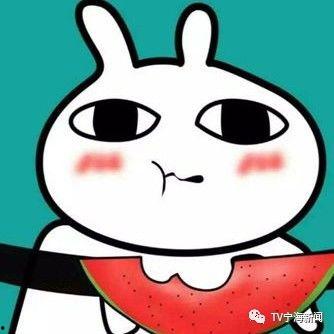 我吃瓜表情包,揭秘网络时代的“瓜界风云”