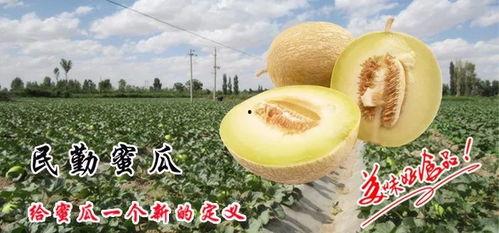 落地碎蜜瓜怎么吃,夏日消暑美食新体验