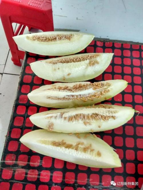 搜索带你吃瓜,揭秘网络热议背后的真相