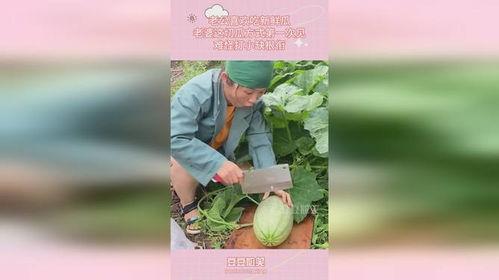 老公就喜欢吃瓜,揭秘老公的“瓜”食之谜