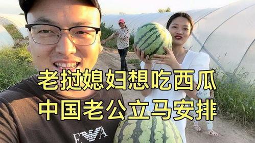 老公就喜欢吃瓜,揭秘老公的“瓜”食之谜