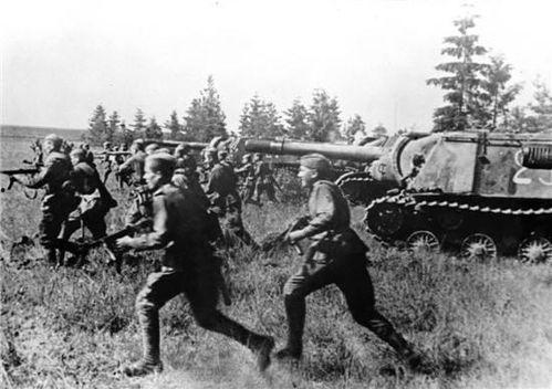 战术失误吃瓜视频,吃瓜群众围观精彩瞬间