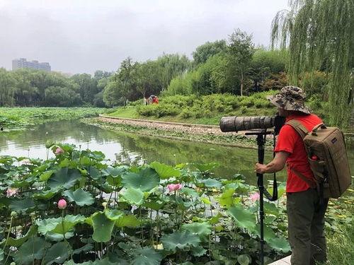 晓塘公园吃瓜,畅享清凉时光