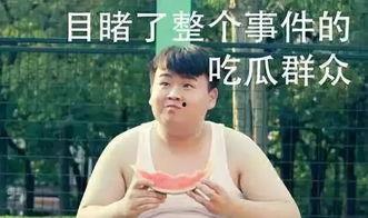 黄静吃瓜,揭秘娱乐圈的“瓜田”趣事