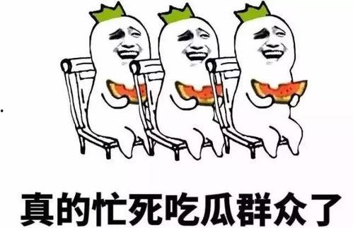 吃瓜群众的大神,揭秘吃瓜群众眼中的娱乐圈风云