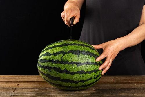 吃瓜拍照攻略,实用拍照攻略大揭秘