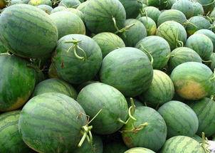 吃瓜拍照攻略,实用拍照攻略大揭秘