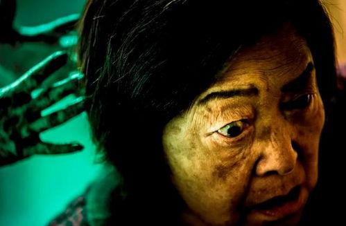 恐怖吃瓜群67,揭秘67号群的惊悚真相