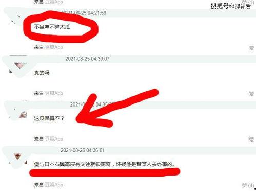 网络上传的吃瓜,揭秘吃瓜群众的狂欢盛宴