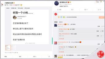 网络上传的吃瓜,揭秘吃瓜群众的狂欢盛宴