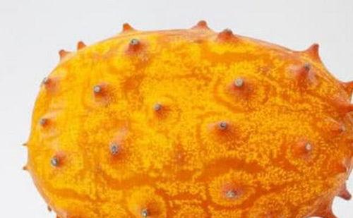 刺角瓜种子怎么吃,教你轻松解锁食用新方法