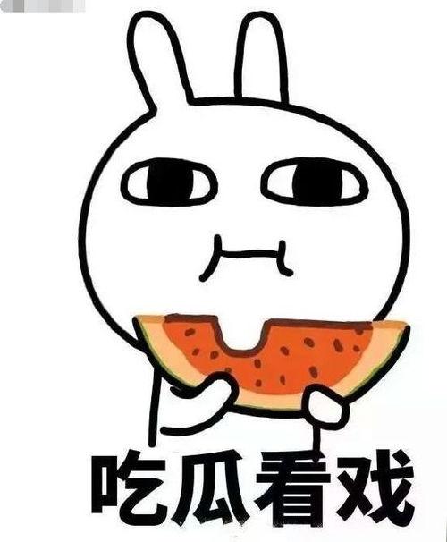 剑雨吃瓜,揭秘剑雨中的那些幕后故事