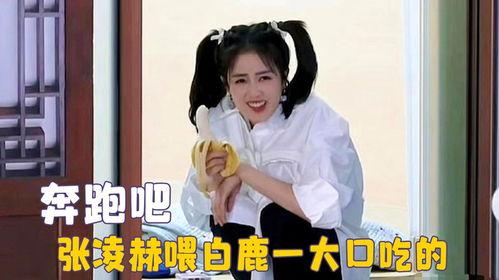 白鹿呵呵吃瓜图片