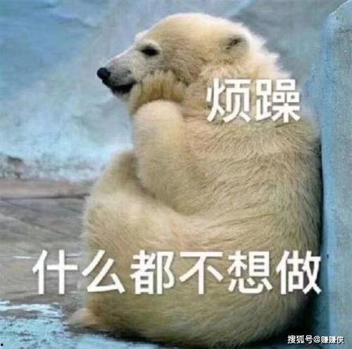 我是吃瓜大王图片,揭秘娱乐圈幕后真相