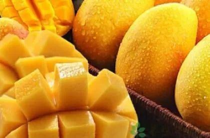 带你吃瓜豹纹芒果,一起吃瓜探秘