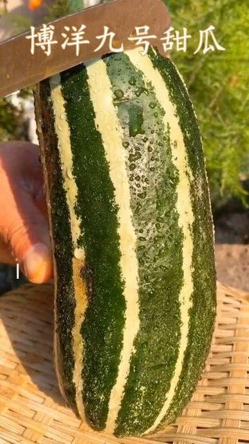 吃瓜只是什么方面,揭秘吃瓜群众的多元视角与娱乐文化现象