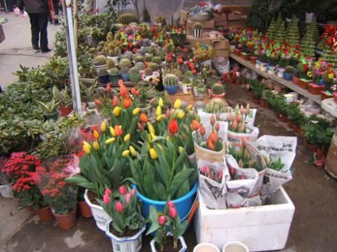 花店老板最新吃瓜,揭秘娱乐圈惊天大秘密