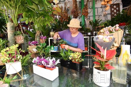 花店老板最新吃瓜,揭秘娱乐圈惊天大秘密