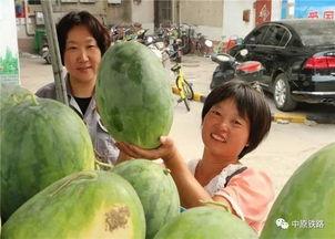 路十三吃瓜,揭秘娱乐圈背后的那些事儿