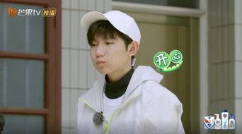 吃瓜小熊王源,揭秘娱乐圈的甜蜜瓜田