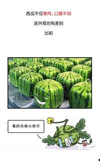 吃瓜无码久久久,网络热词背后的故事与影响