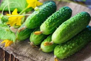 吃瓜无码久久久,网络热词背后的故事与影响