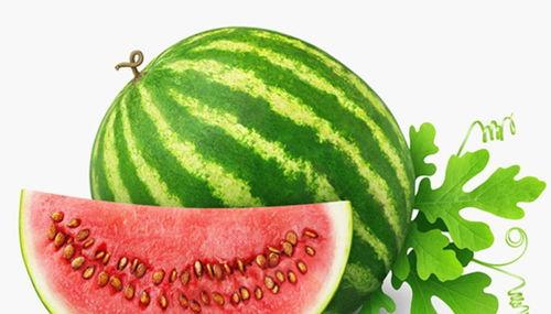 梦见好多人在摘瓜吃瓜,瓜果飘香，共享欢乐时光