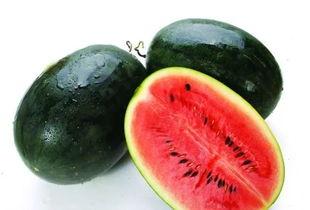 海南实验中学吃瓜