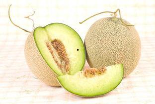 韩国人吃哈密瓜和西瓜吗,哈密瓜与西瓜的甜蜜邂逅