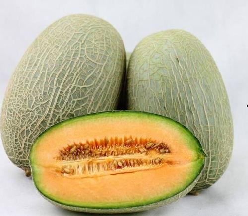 韩国人吃哈密瓜和西瓜吗,哈密瓜与西瓜的甜蜜邂逅