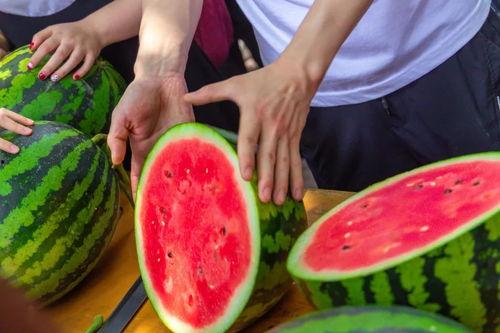 吃大学的瓜,揭秘吃大学的瓜