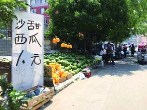 西城首府吃瓜事件,揭秘社区邻里纠纷背后的真相