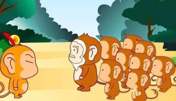 猴王吃瓜素材图片,瓜果飘香夏日乐