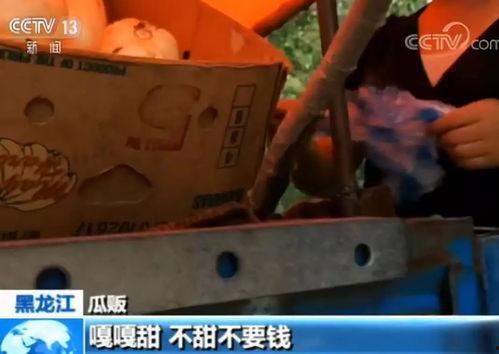 快穿嘎嘎吃瓜后续6,嘎嘎吃瓜，第六季精彩续篇