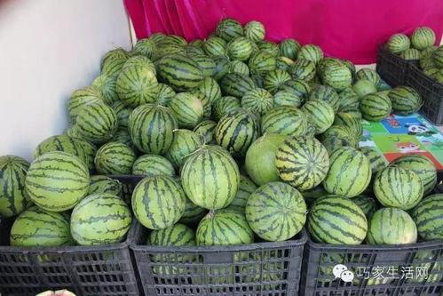 红街吃瓜,揭秘吃瓜群众的狂欢盛宴