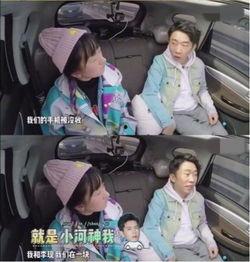 吃瓜群众碰到明星,吃瓜群众与璀璨星辰的意外邂逅