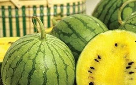 吃瓜和瓜条有什么区别呢,揭秘两者之间的微妙差异