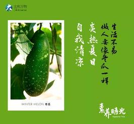 荣华吃瓜全文,揭秘娱乐圈背后的真相与八卦